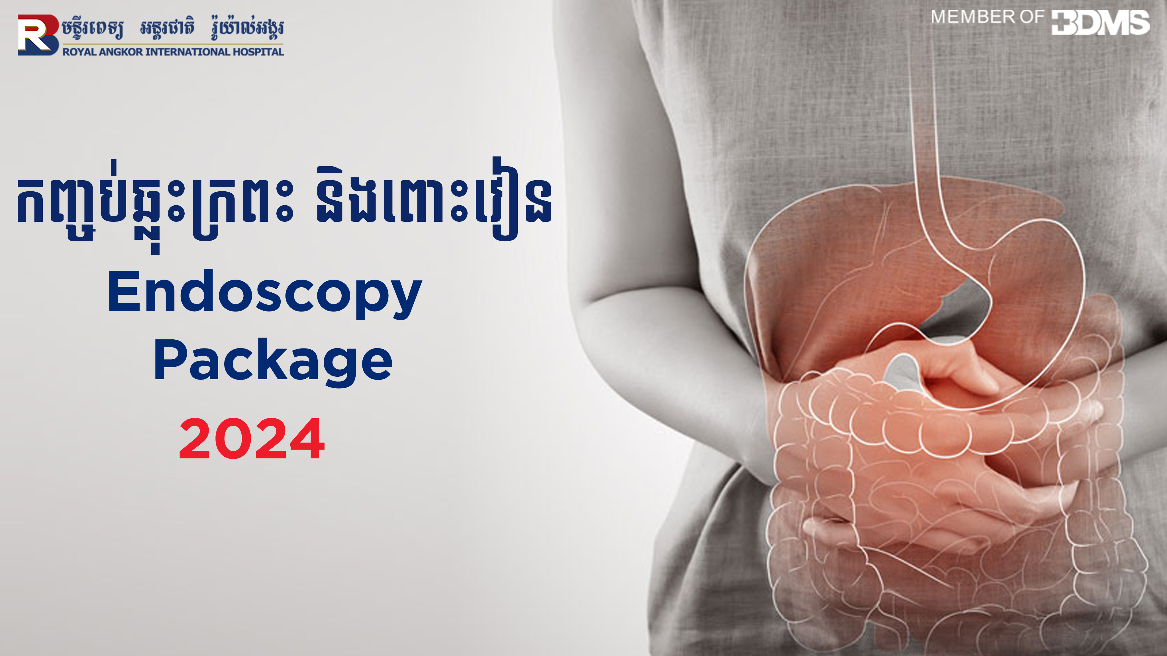 Endoscopy Packages Royal Angkor International Hospital